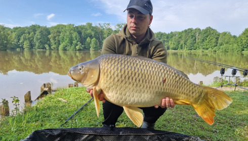 A carp from Renarde, May 2024