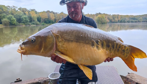 A carp from Renarde, Sep 2024