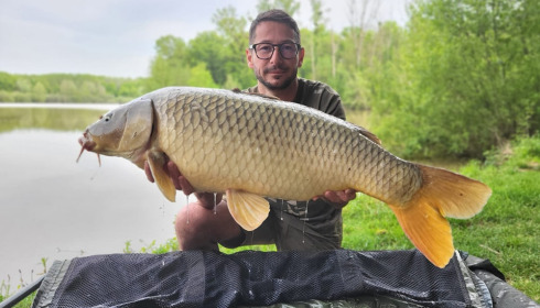 A carp from Renarde, May 2024