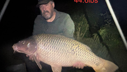 A fish from Seigneurie, Sep 2025