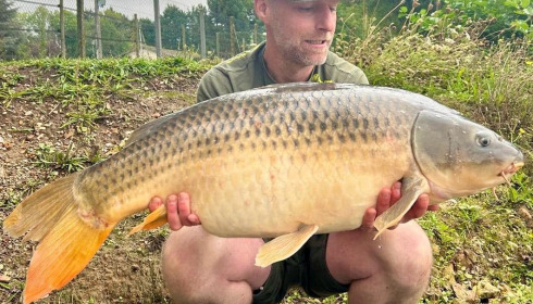 A carp from Seigneurie, Sep 2024