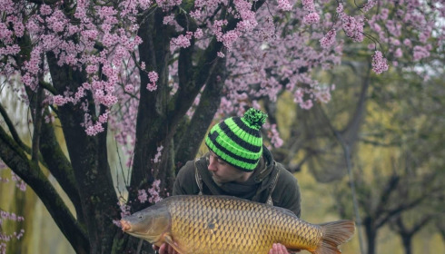 A carp from Seigneurie, Mar 2025