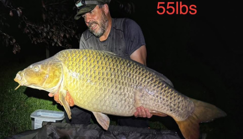 A fish from Seigneurie, Sep 2025