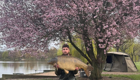 A 43 lb carp from Seigneurie, Mar 2025