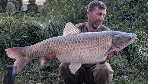 A 36 lb fish from Seigneurie, Grass carp, Aug 2025