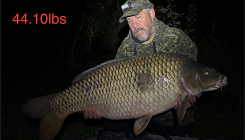 A fish from Seigneurie, Sep 2025