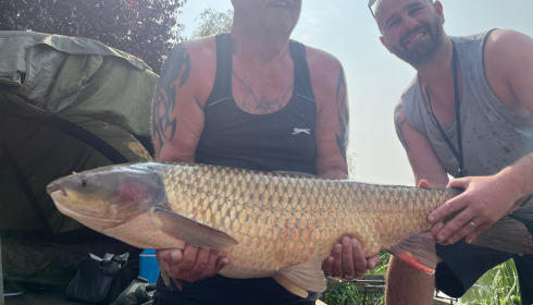 A 40 lb 4 oz grass carp from Seigneurie, Paul Fenwick, Aug 2024