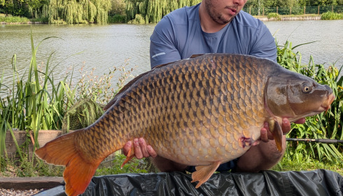 A 37 lb fish from Seigneurie, Carp, Jun 2025
