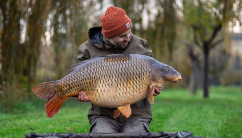 A 57 lb carp from Seigneurie, Nov 2024
