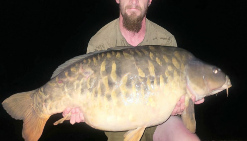 A carp from Seigneurie, Aug 2025
