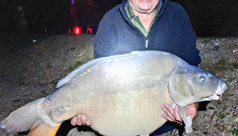 A carp from Seigneurie, Oct 2024
