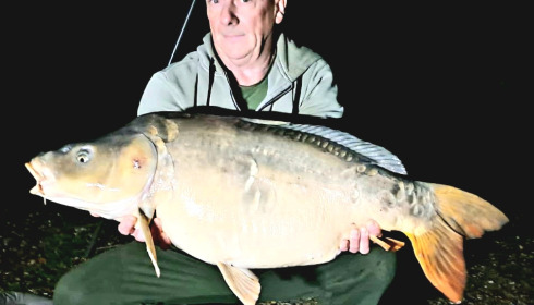 A carp from Seigneurie, Oct 2024
