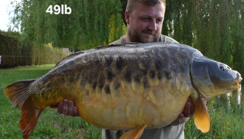 A 49 lb fish from Seigneurie, fully scaled mirror, Apr 2025