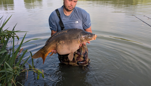 A 27 lb fish from Seigneurie, Carp, Jun 2025