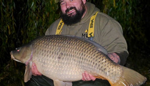 A fish from Seigneurie, Oct 2025