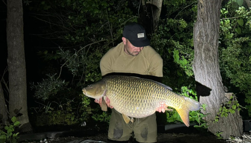 A carp from Sky Lake, Jun 2024