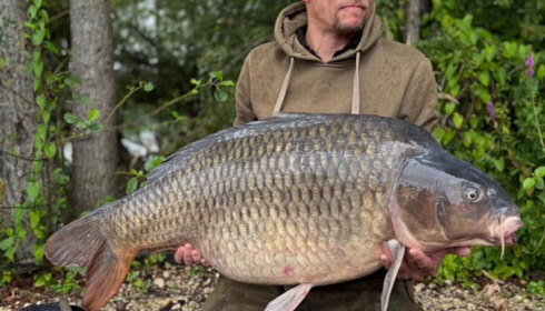 A carp from Sky Lake, Jul 2025