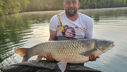 A carp from Sky Lake, Sep 2025