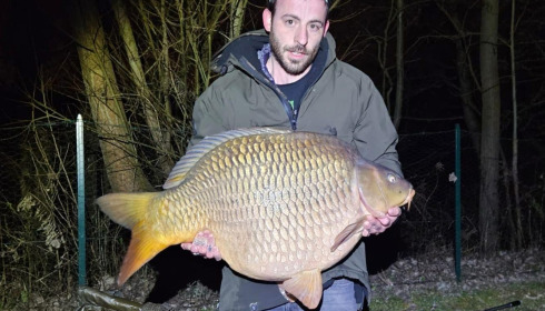 A carp from Sky Lake, Mar 2025