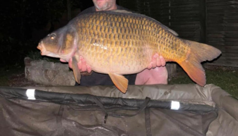 A carp from Sky Lake, Aug 2025