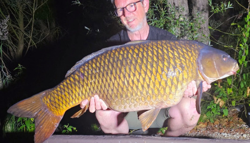 A carp from Sky Lake, Jun 2025