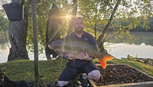 A 49 lb fish from Sky Lake, Common Carp caught by Rob, Jul 2025