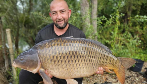 A carp from Sky Lake, Sep 2025