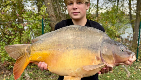 A carp from Sky Lake, Oct 2025