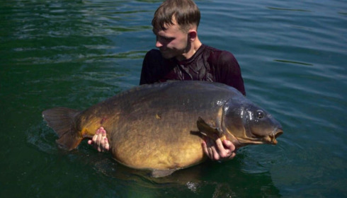 A carp from Sky Lake, Aug 2025