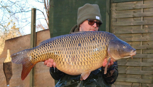 A carp from Sky Lake, Dec 2024