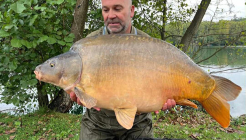 A carp from Sky Lake, Oct 2025
