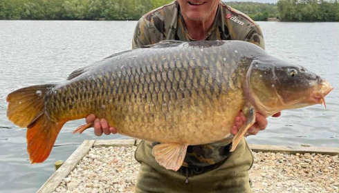 A carp from Sky Lake, Oct 2025