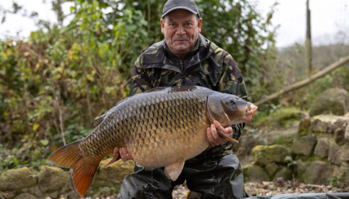 A carp from Sky Lake, Nov 2024