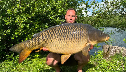A carp from Sky Lake, May 2025