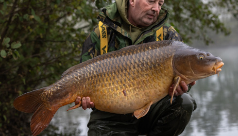 A carp from Sky Lake, Nov 2024