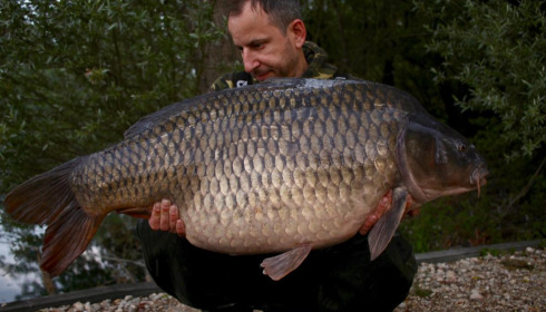 A carp from Sky Lake, Jun 2025