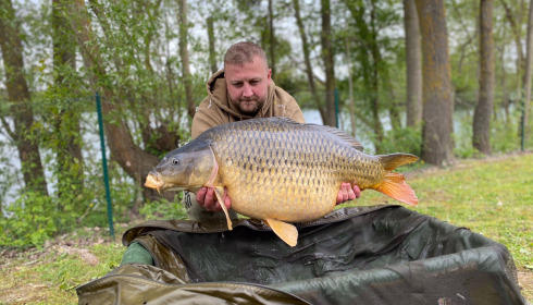 A carp from Sky Lake, Apr 2024