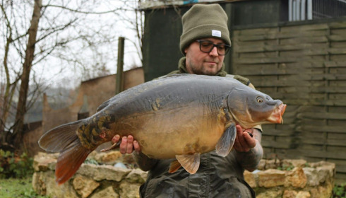 A carp from Sky Lake, Dec 2024
