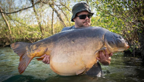 A carp from Sky Lake, Apr 2025