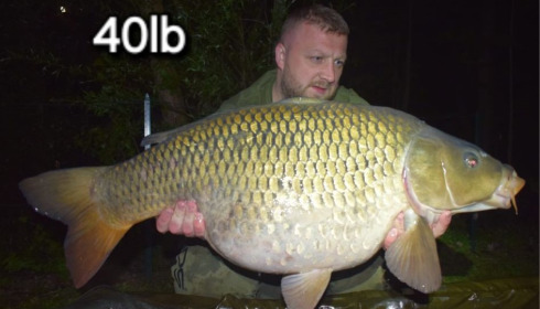 A 40 lb carp from Sky Lake, Apr 2024