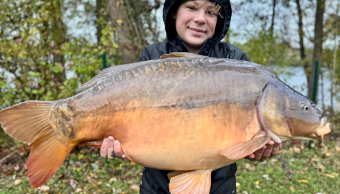 A carp from Sky Lake, Oct 2025