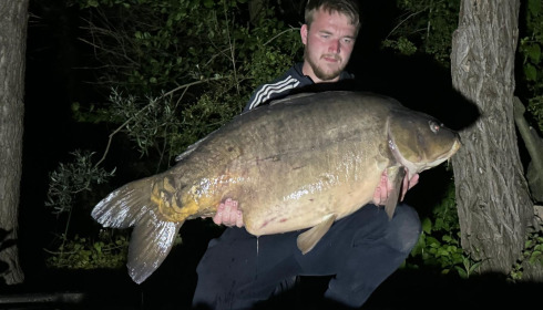 A carp from Sky Lake, Jun 2024