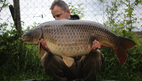 A carp from Sky Lake, Jun 2024