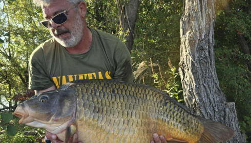 A carp from Sky Lake, Sep 2025