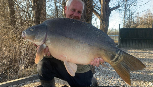 A carp from Sky Lake, Mar 2025