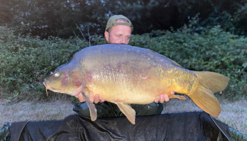 A fish from Villefond, Jul 2025