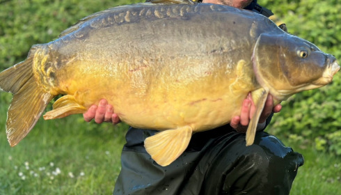 A carp from Villefond, Apr 2024
