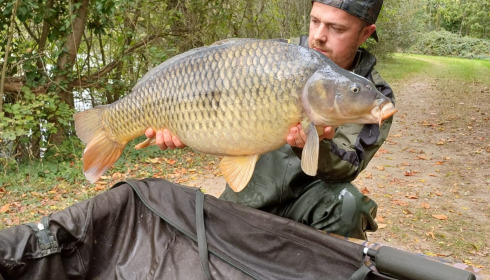 A carp from Villefond, Oct 2023