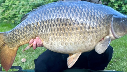 A carp from Villefond, Apr 2024