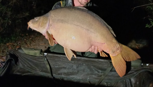 A carp from Villefond, Oct 2023